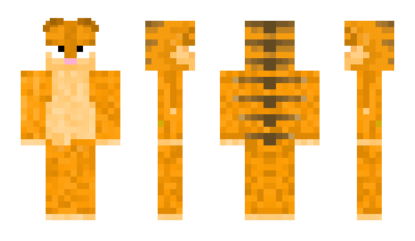 Minecraft skin Cswell