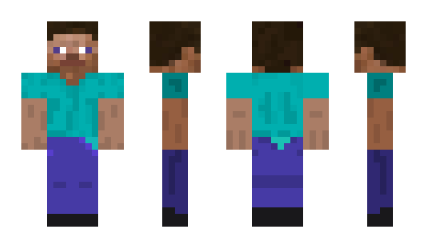 Minecraft skin shei