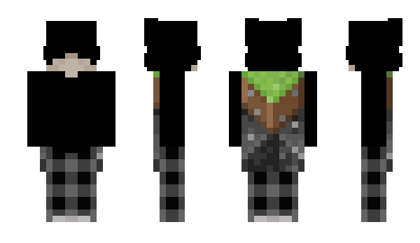 Minecraft skin RiceFr