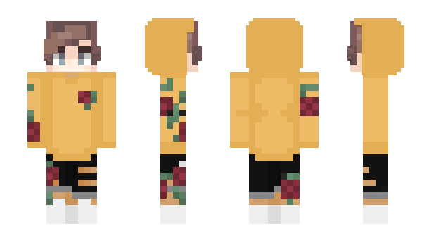 Minecraft skin Texay