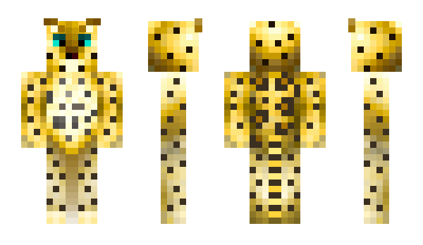 Minecraft skin chunkyboy12