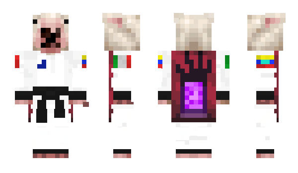 Minecraft skin Perro_Goyo