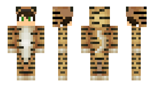 Minecraft skin 8Firefox8