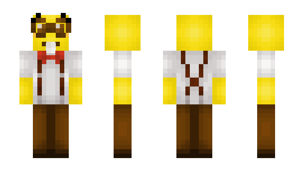 Minecraft skin naidr