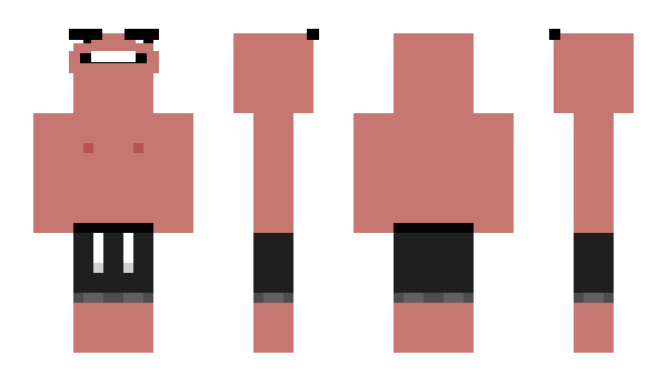 Minecraft skin Bonjourg