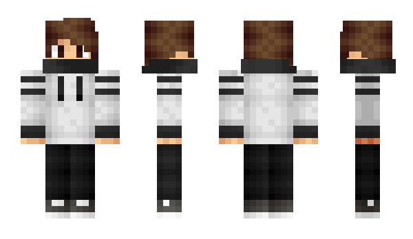 Minecraft skin Vexite
