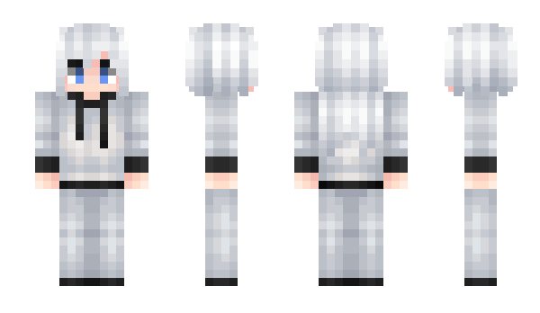 Minecraft skin ZHDZX