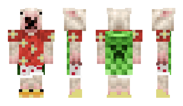 Minecraft skin Donco49