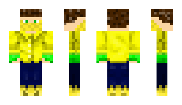 Minecraft skin Pache1000