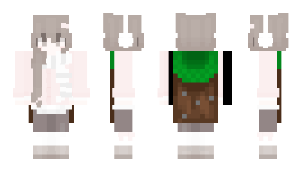 Minecraft скін по ніку dwistances