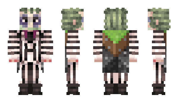Minecraft skin BET3LG3US3