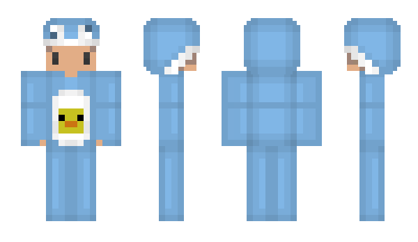 Minecraft skin rafl