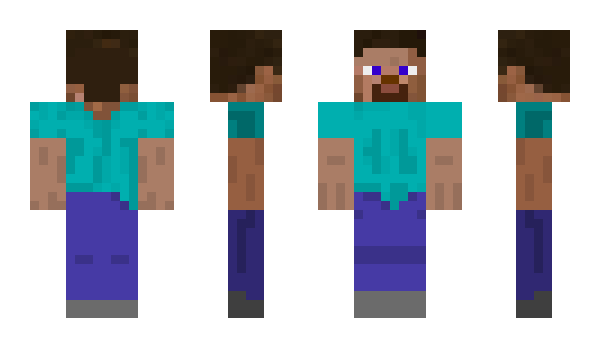 Minecraft skin Influences