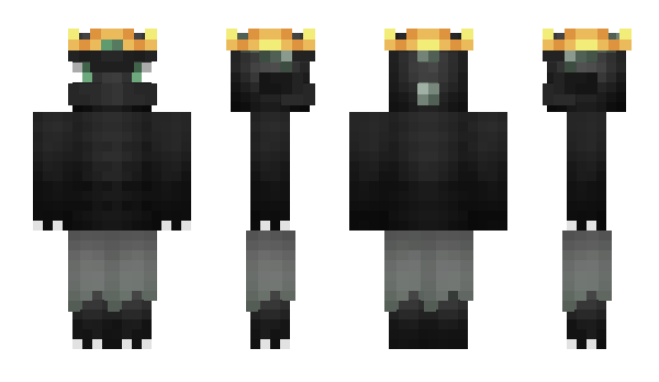 Minecraft skin naashe