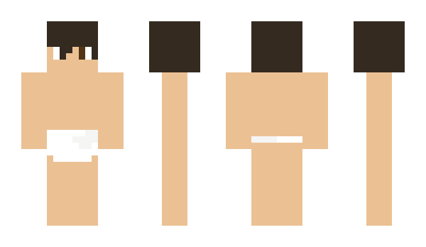 Minecraft skin VHAN