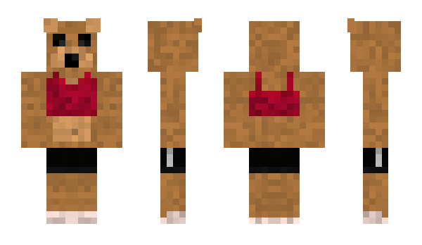 Minecraft skin PXL