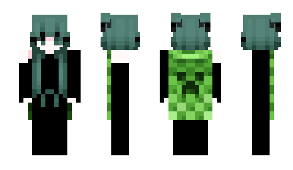 Minecraft skin usib