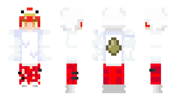 Minecraft skin kurikulum