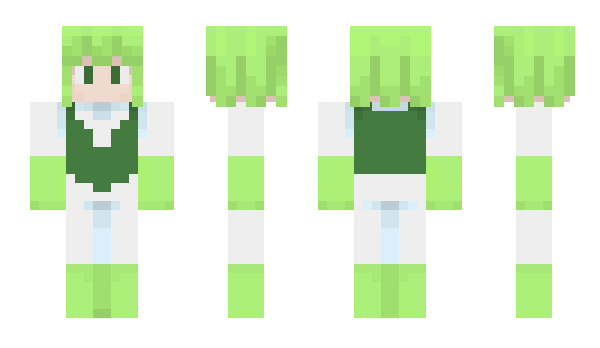 Minecraft skin Bandkanon