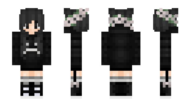 Minecraft skin allllemy