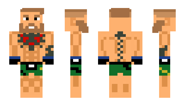 Minecraft skin rparker13