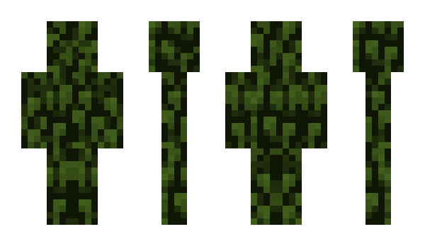 Minecraft skin KAI5135