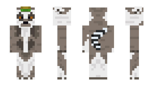 Minecraft skin Elrobto22