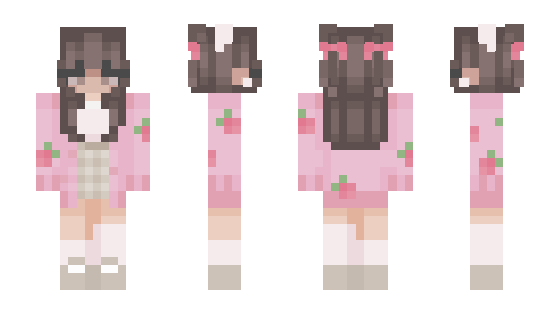 Minecraft skin jumbo_jet