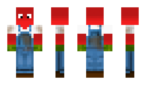 Minecraft skin randomguyonmars