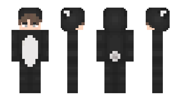 Minecraft skin Hapuo