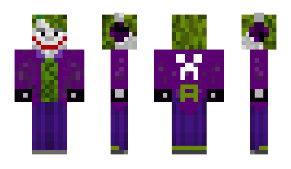 Minecraft skin beeerg14