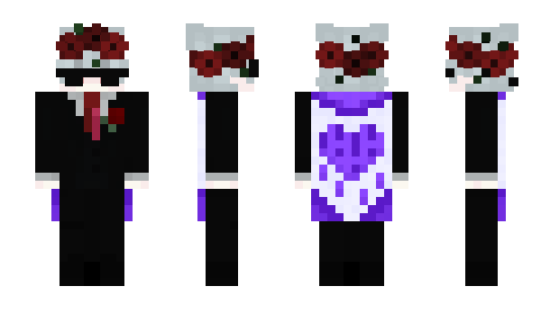 Minecraft skin DuckTry