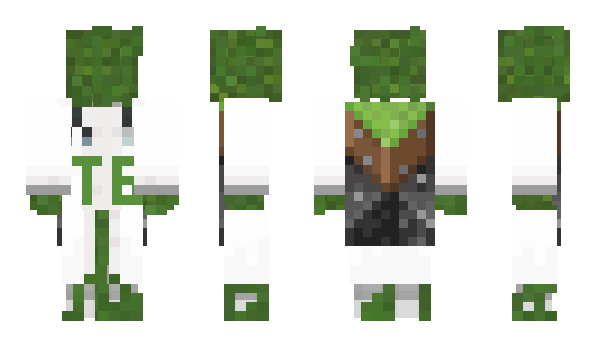 Minecraft skin t6amygdala