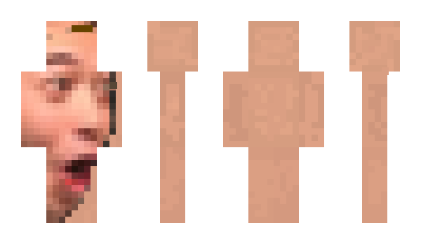 Minecraft skin WasabiElf