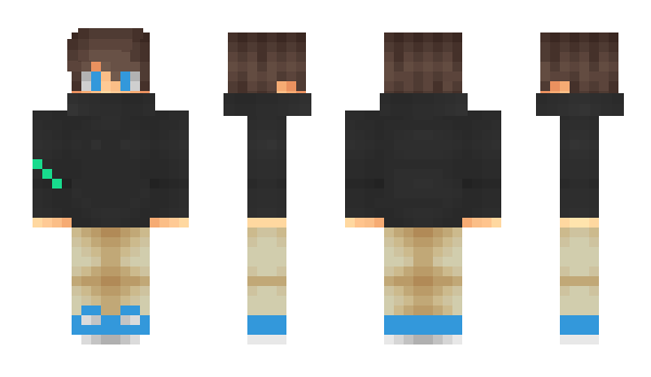 Minecraft skin Shooowlz