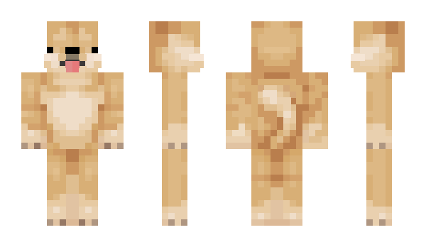 Minecraft skin Junkyjank