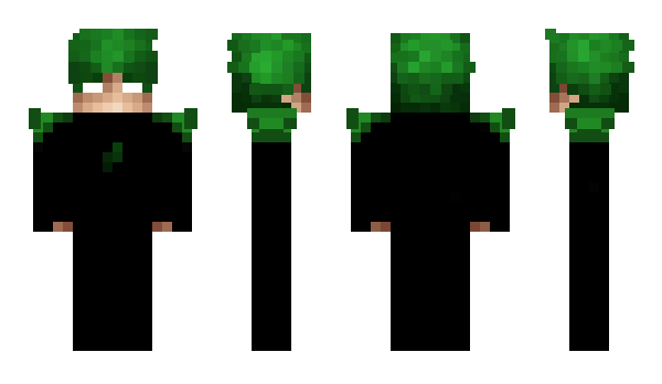 Minecraft скин по нику nearls