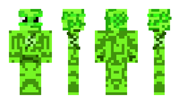 Minecraft skin MiNiPeKa221