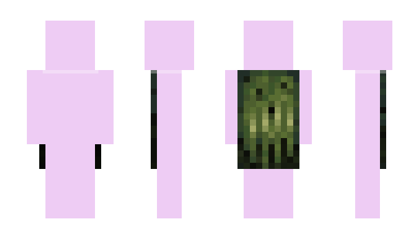 Minecraft скин по нику straet13