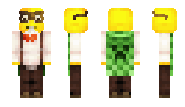 Minecraft skin zrte