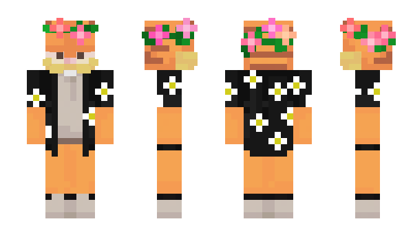 Minecraft skin alexaminceraft