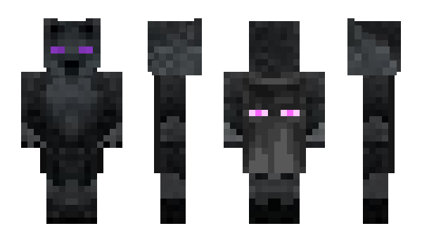 Minecraft skin physio