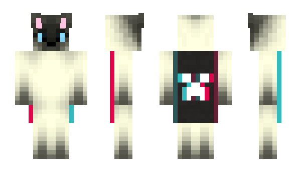 Minecraft skin Vaeloria