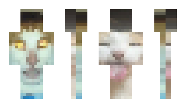 Minecraft skin fatir