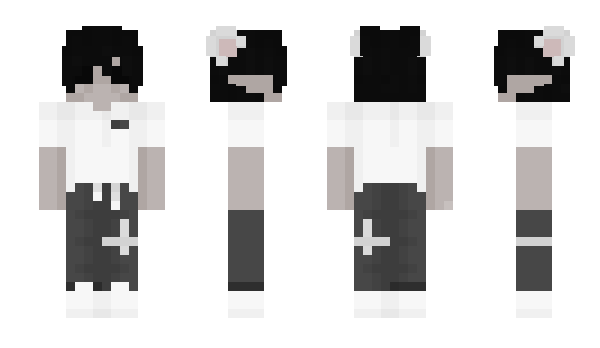 Minecraft skin qcis