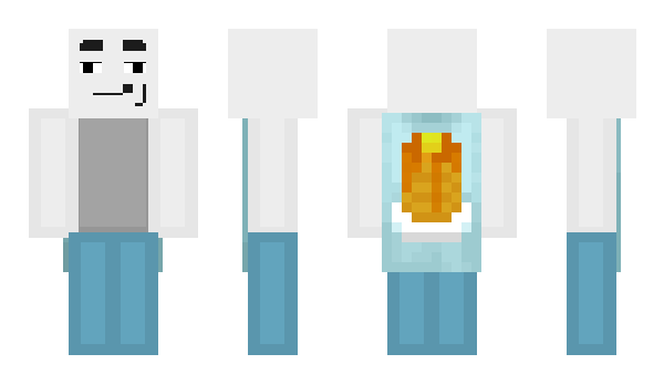 Minecraft skin ansri