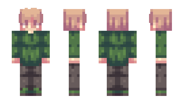 Minecraft skin NEXTOV