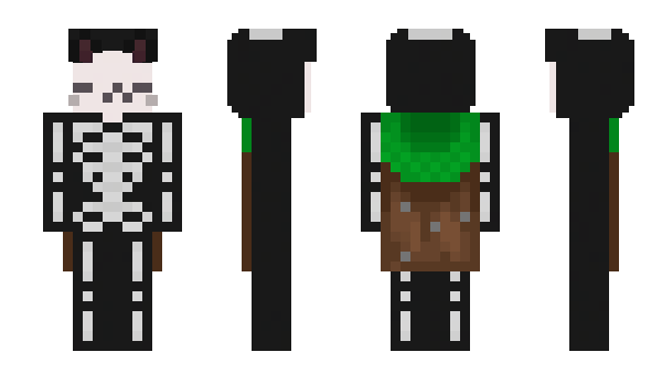 Minecraft skin IamSkeletonn