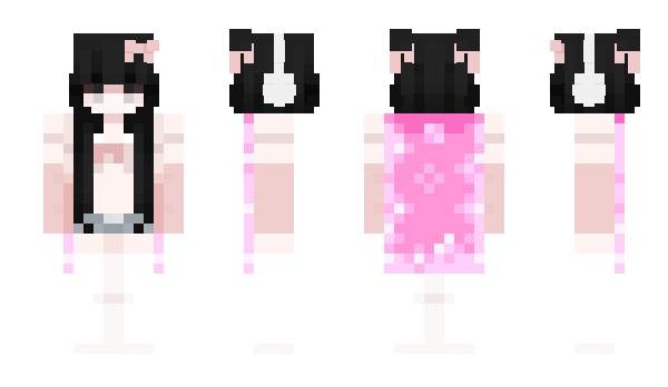 Minecraft skin SekDak