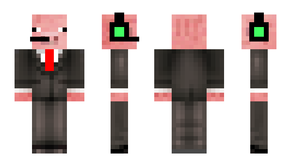 Minecraft skin Racke